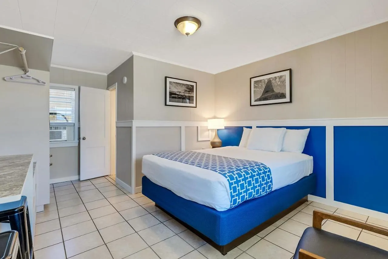 Dolphin Oceanfront -
