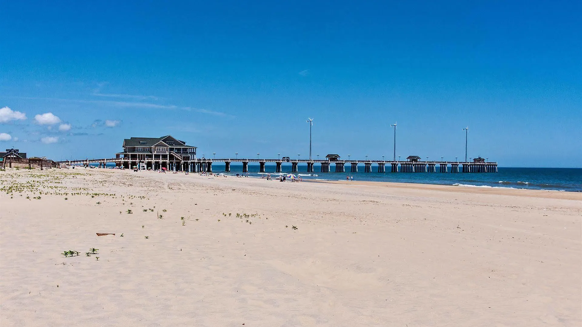 Dolphin Oceanfront -
