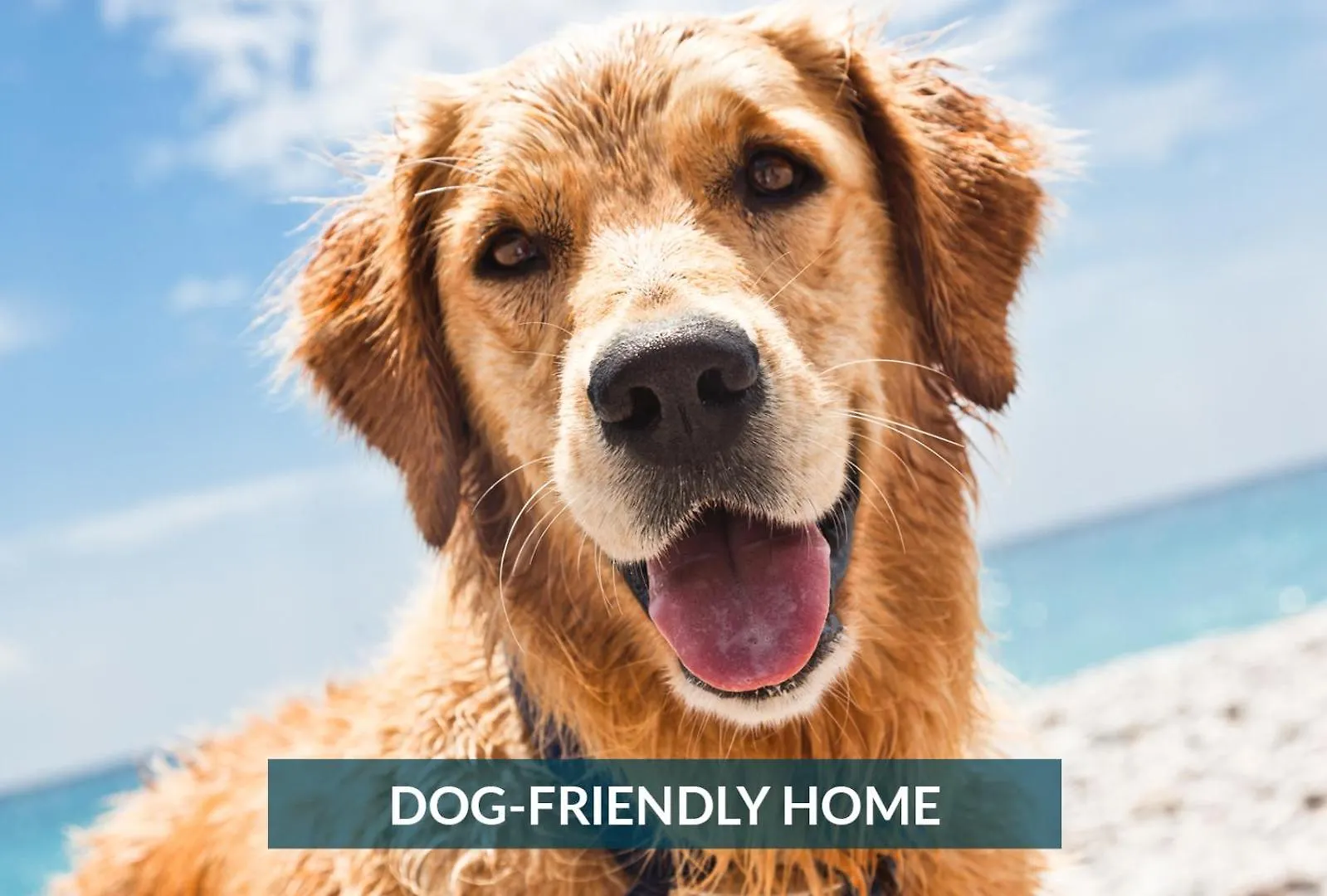6020 Summer Fun 2 Min Walk To Holiday home *