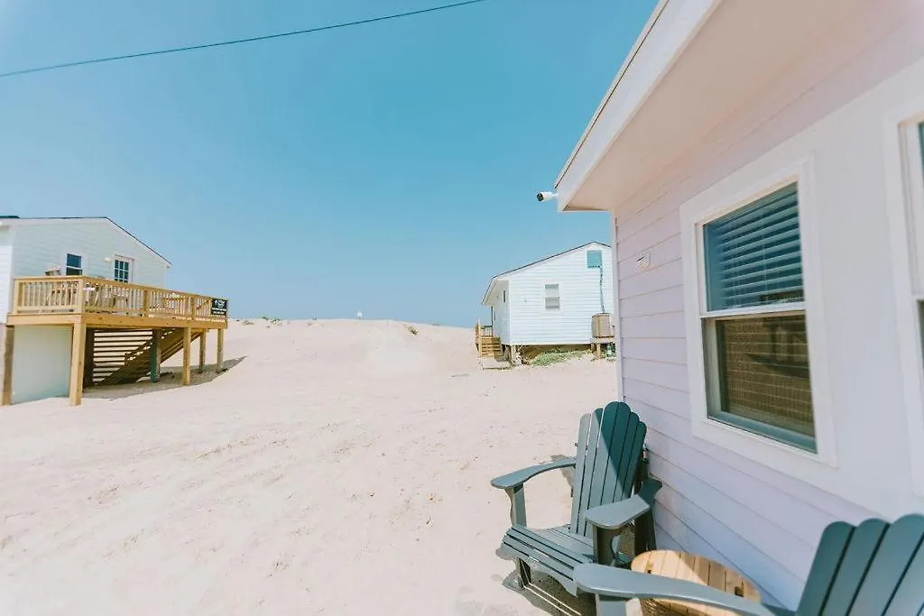 Nh337d Coastal Dunes 4 *