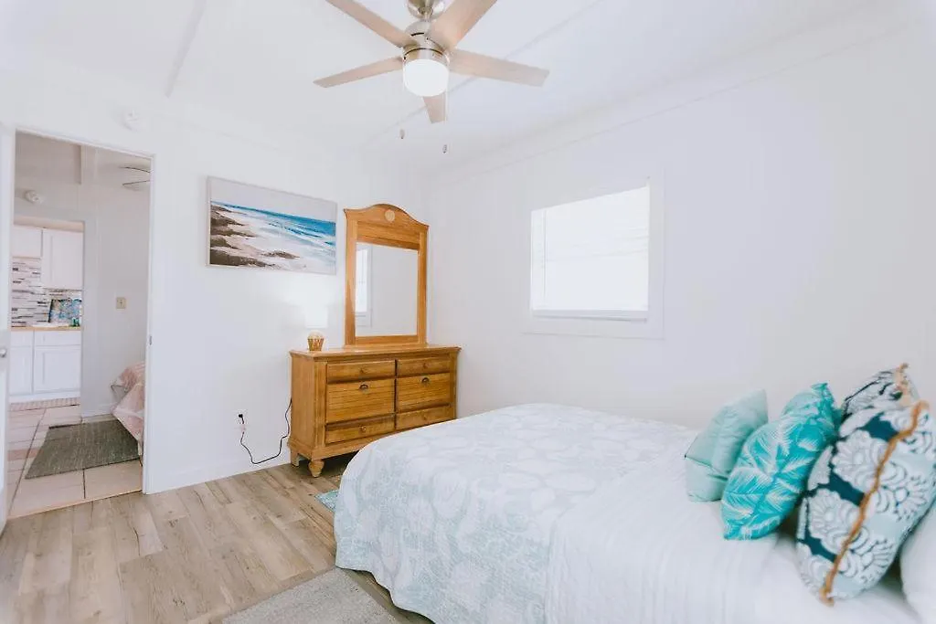 Nh337d Coastal Dunes 4 *