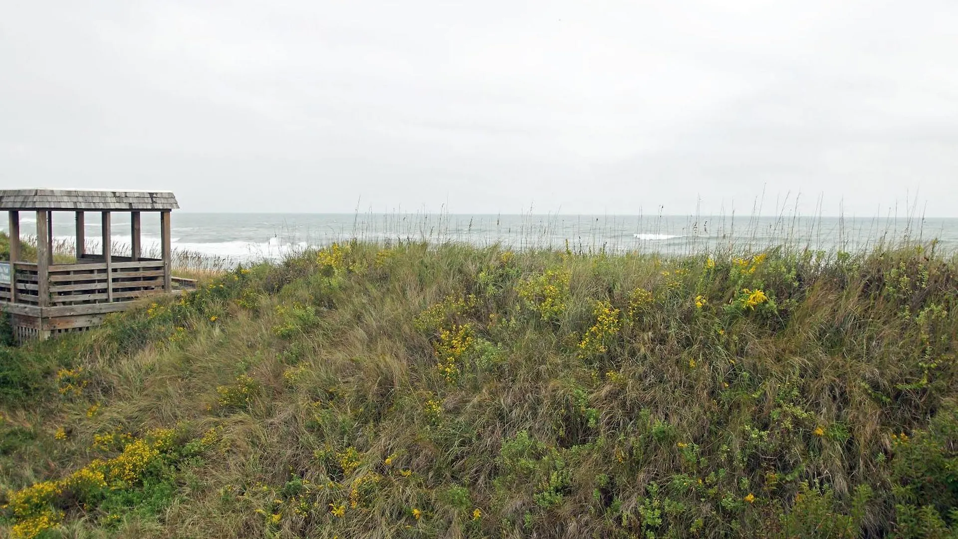 N5615-living The Dream Nags Head