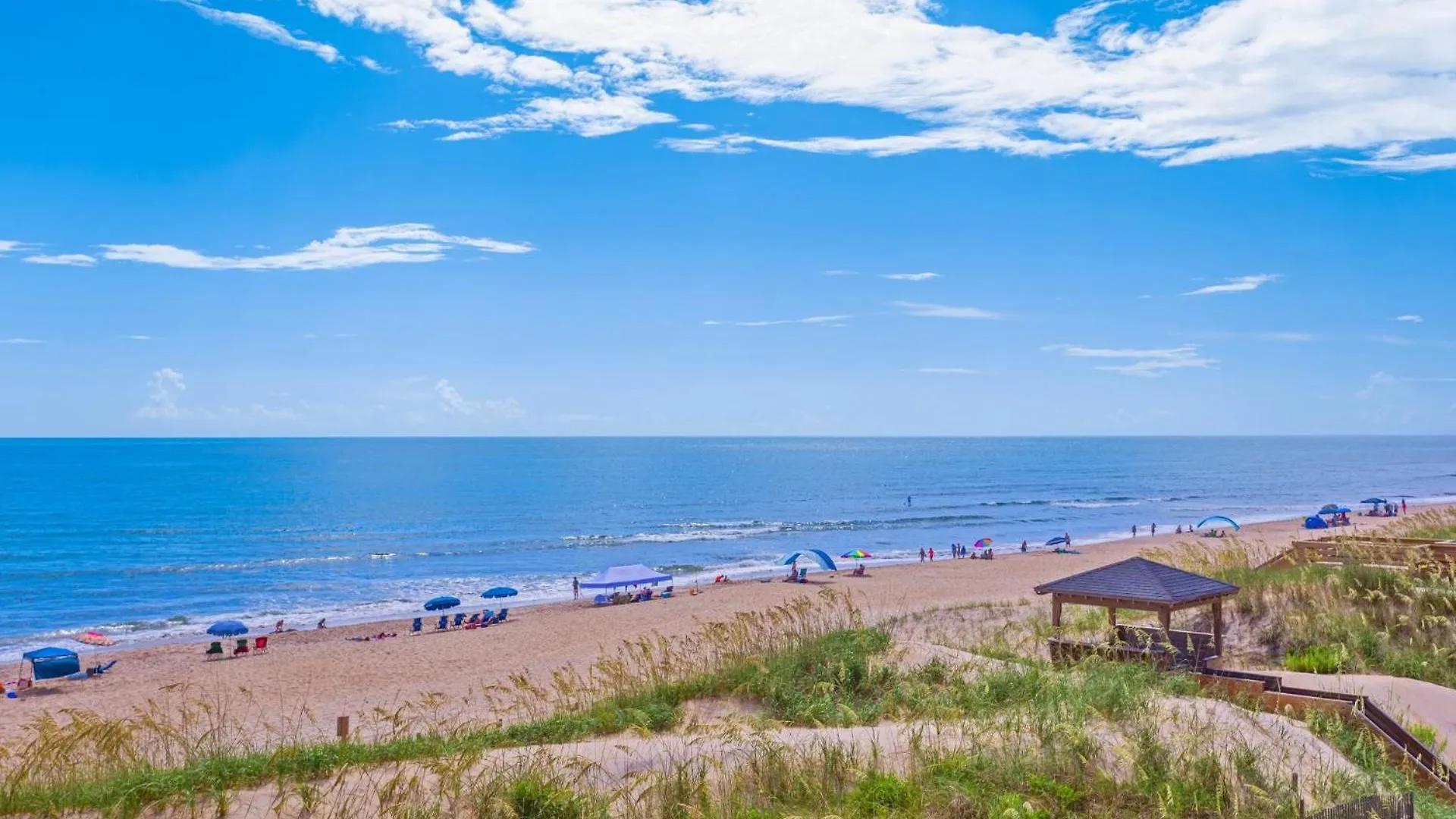 Dl303 Herpy Oceanfront