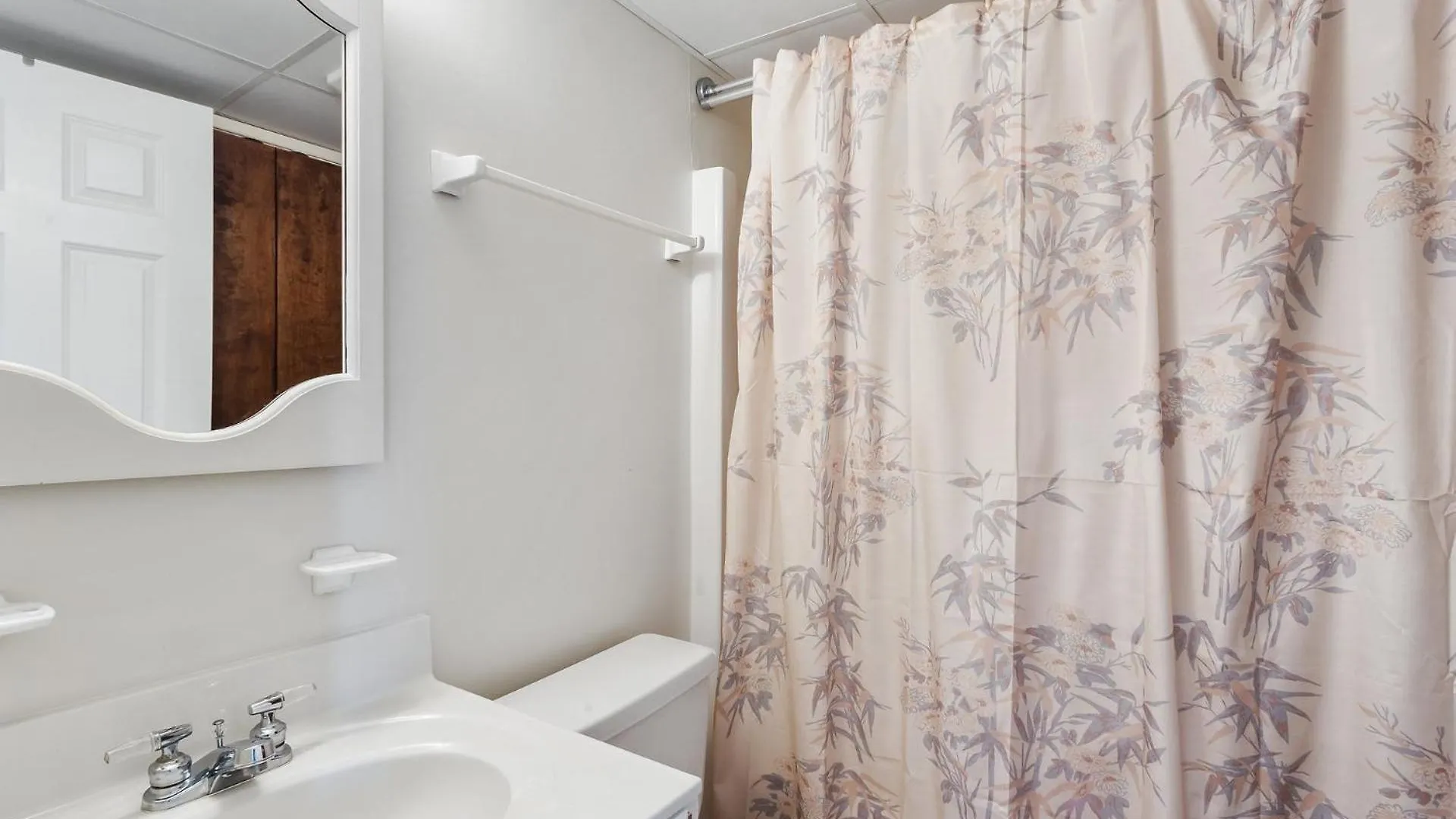 Dl303 Herpy Oceanfront