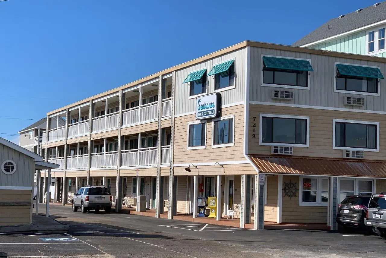 Sea Horse And Hotel Nags Head