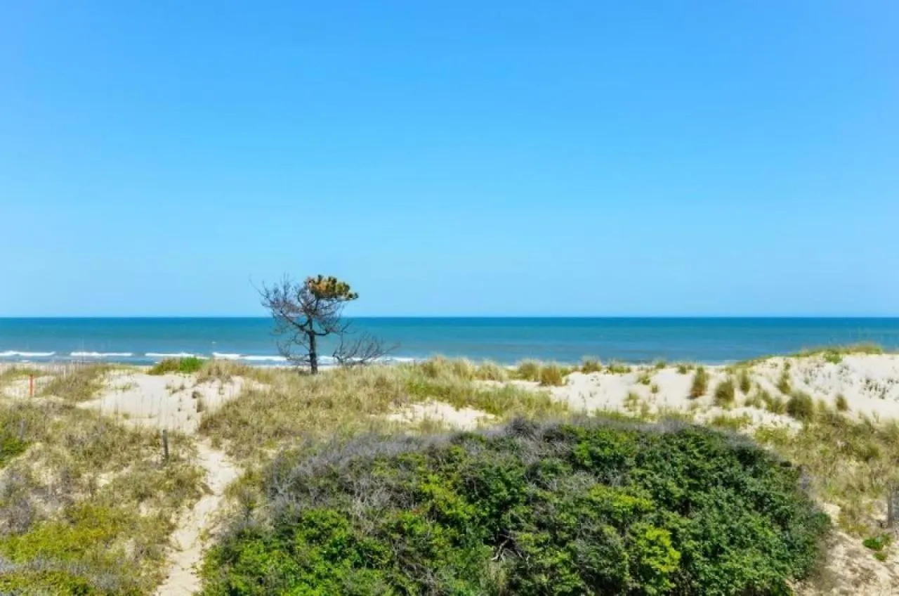 7100 Pelican Oasis 1 Min Walk To The Nags Head