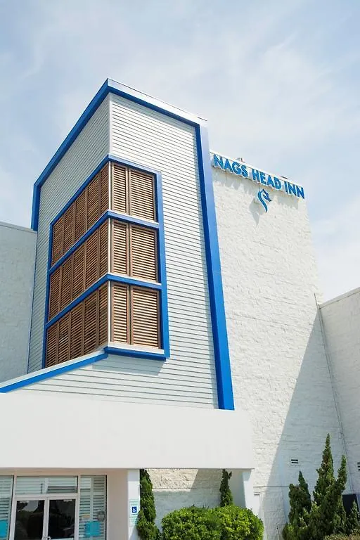 马头城海滨智选假日酒店 3* 纳格斯黑德